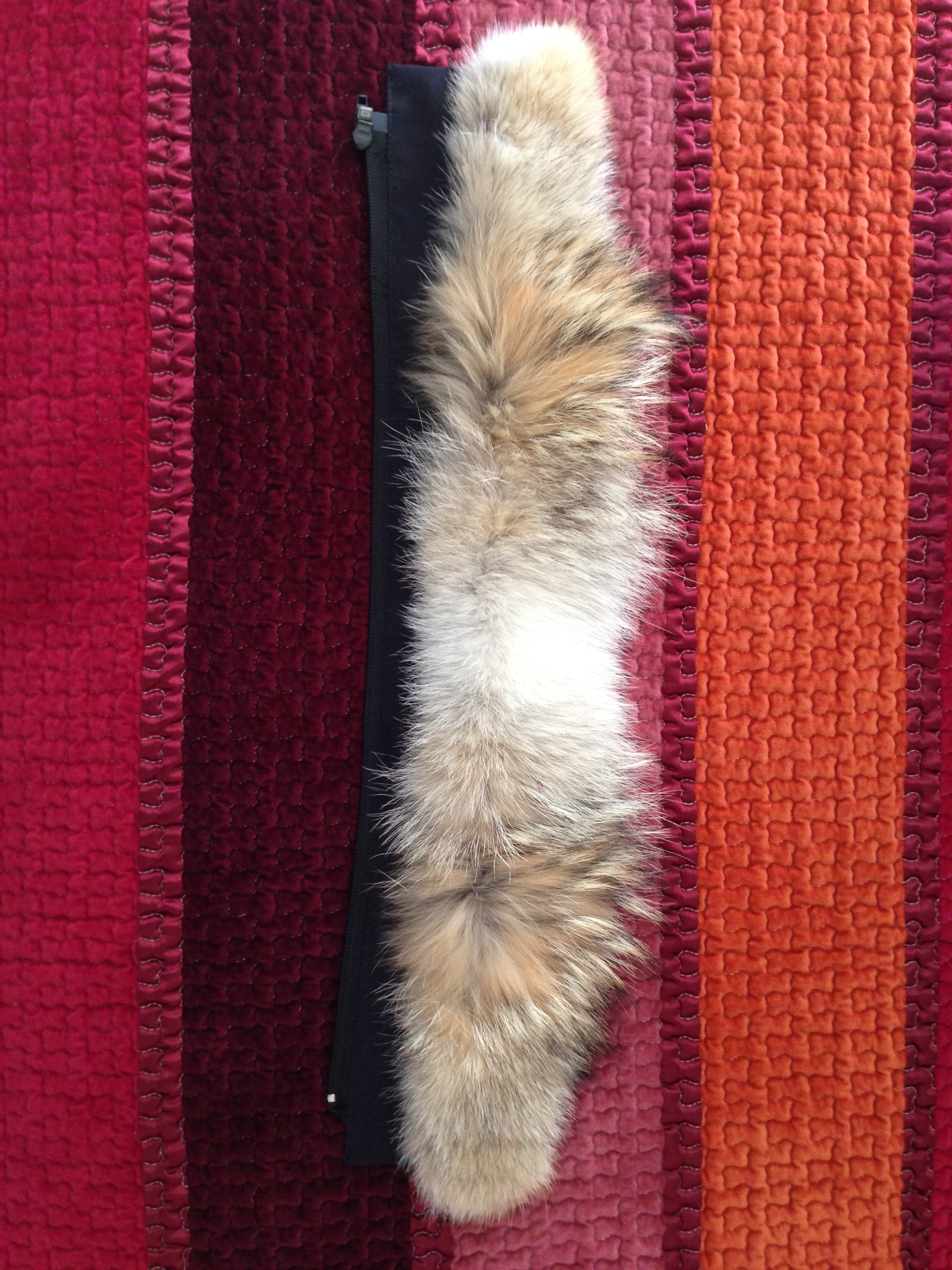 Canada Goose Chateau Coyote Fur Ruff Question | Styleforum