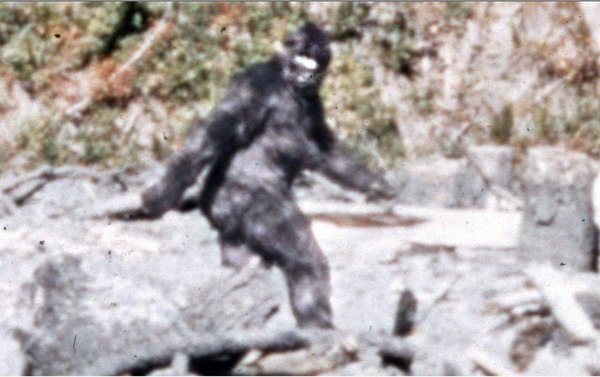 bigfoot1.jpeg