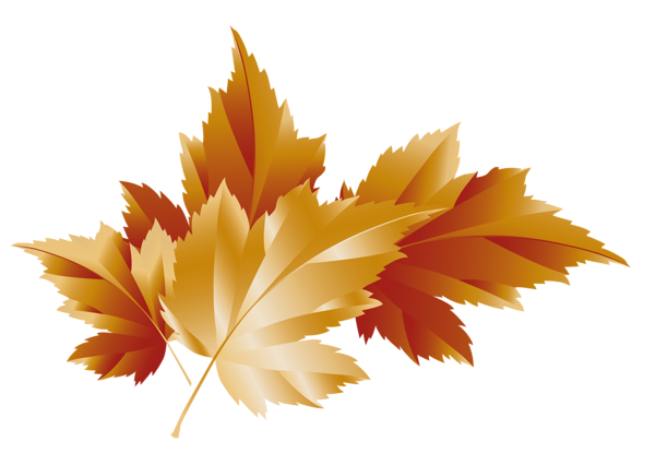 Fall_Transparent_Leaves_Decor_Picture.png