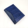 Denim & crocodile passport holder